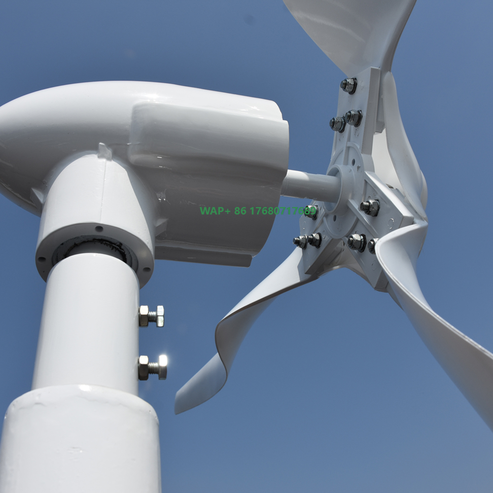 Free Energy Professional Custo - огляд і ціна Wind Turbine Generator